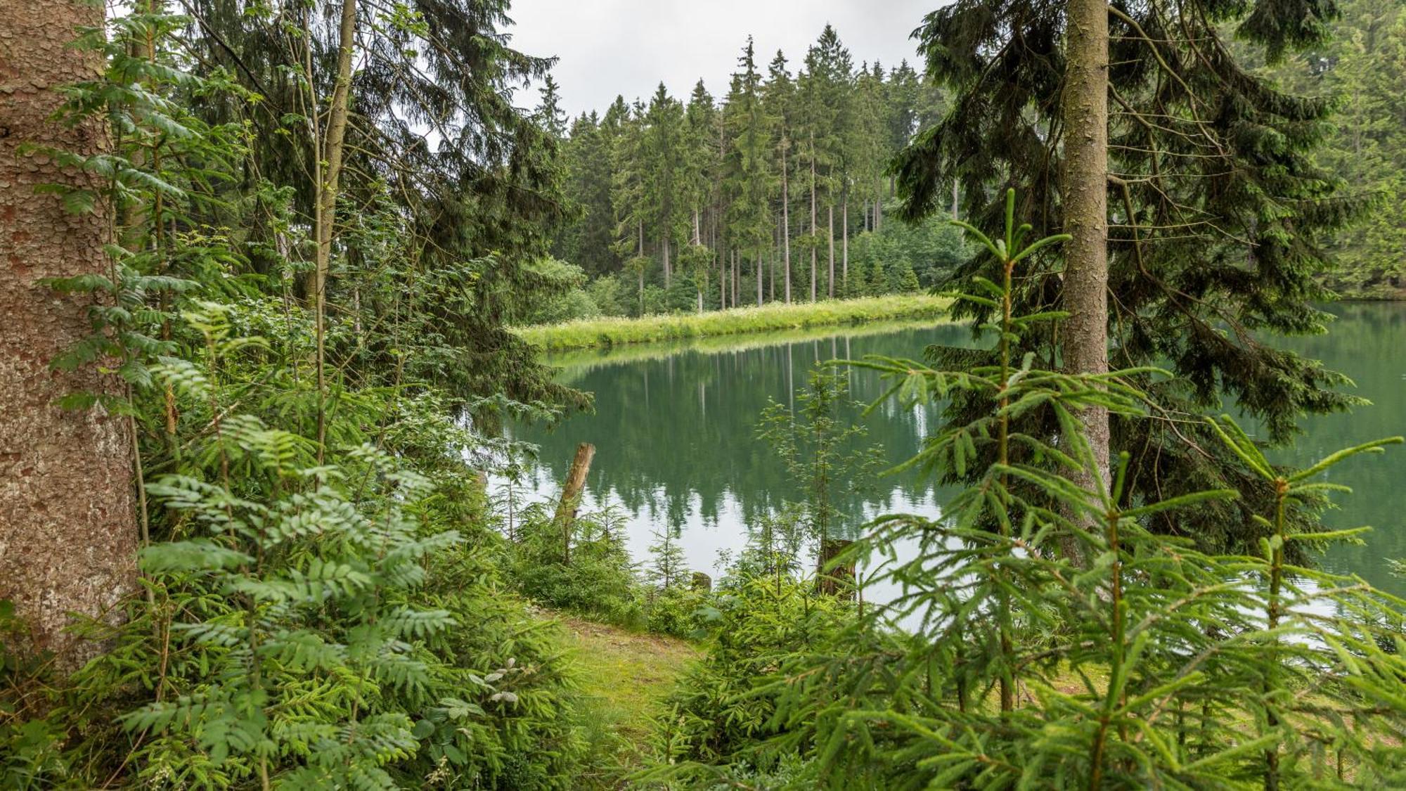 Hotel Haus Am Hochwald